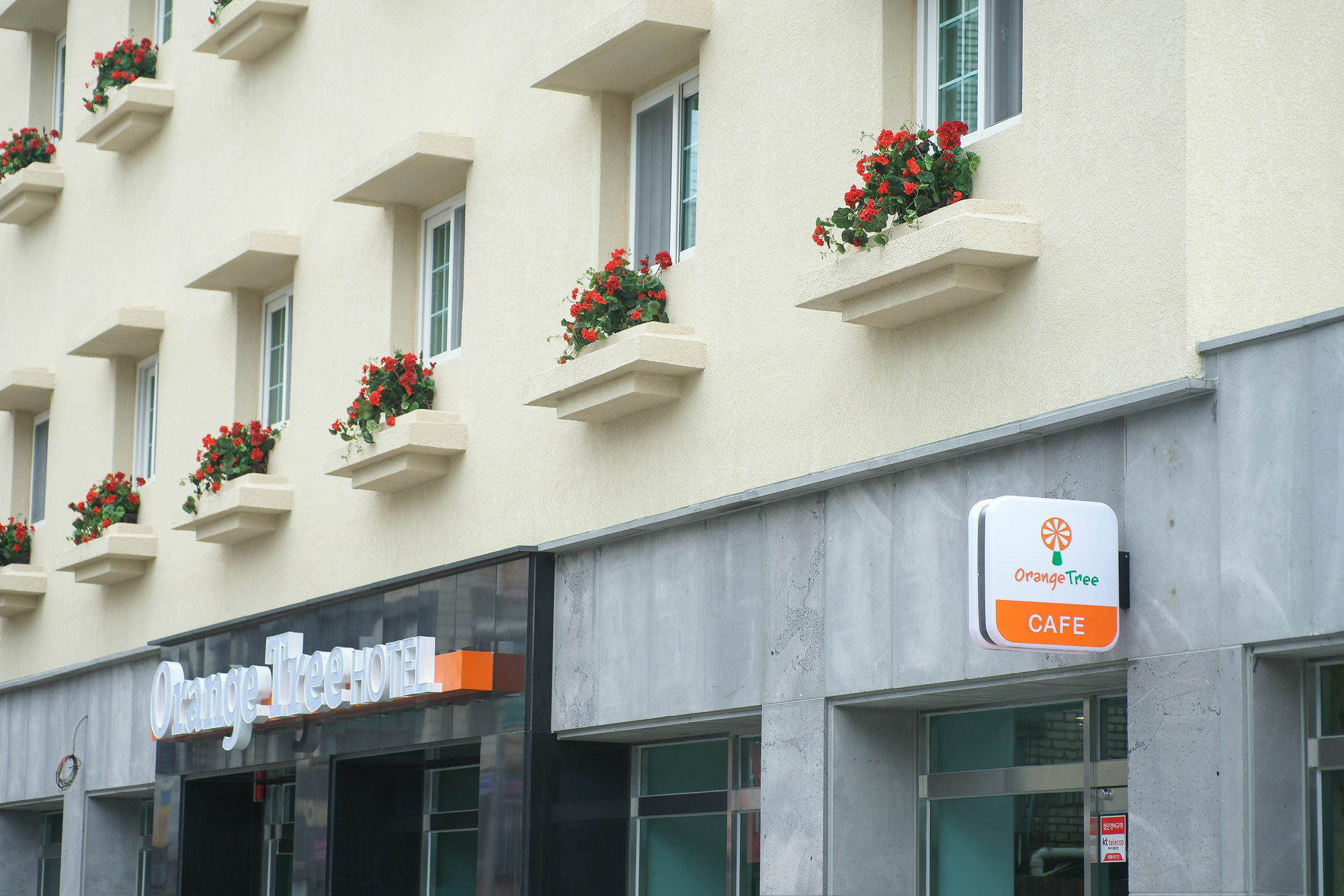 Orange Tree Hotel Чеджу Екстериор снимка